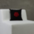 Pillow 42
