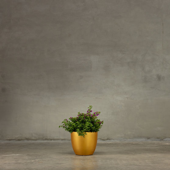 Gold Planter
