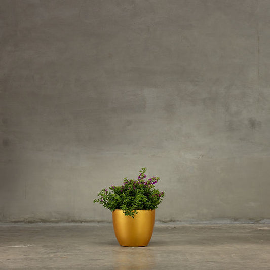 Gold Planter