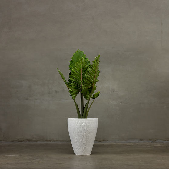White Textured Planter