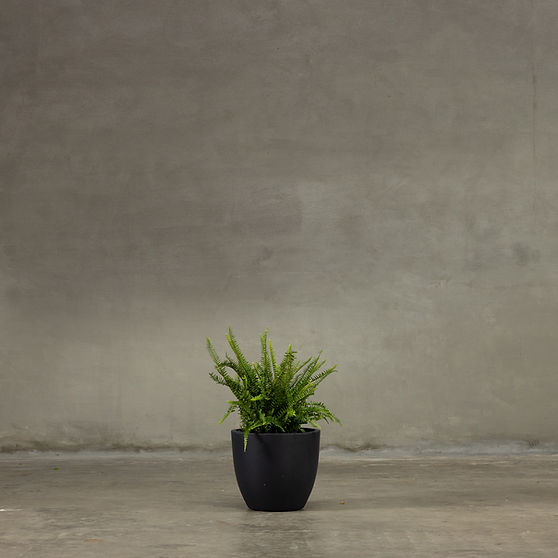 Eclipse Planter