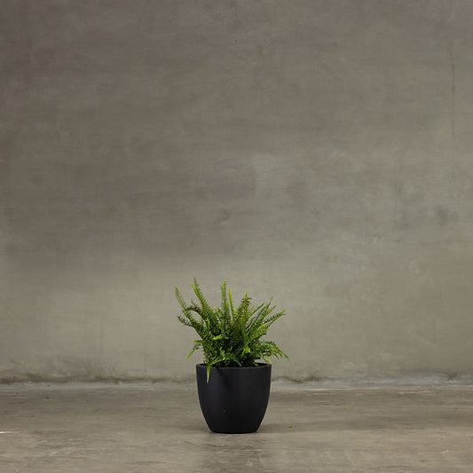 Eclipse Planter