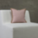 Pillow 41