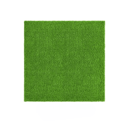 Grass Area Rug