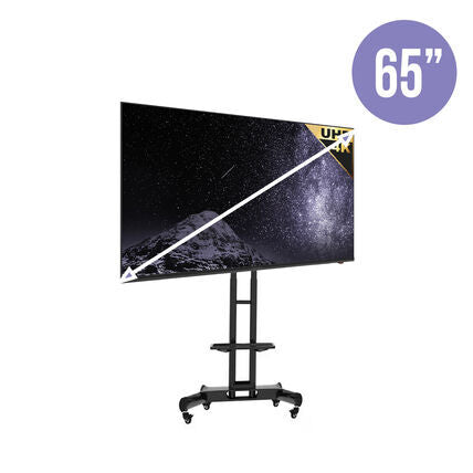 65" Monitor TV on Rolling Stand