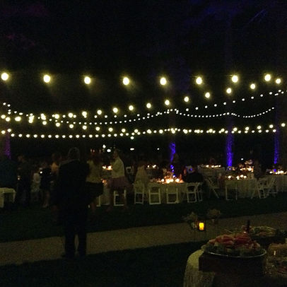 String Ping Pong Lights 25'