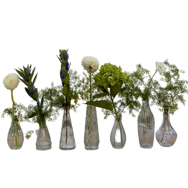 Elegant Clear Glass Bud Vase Set