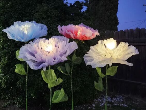 Lumina Bloom - Elegant Props