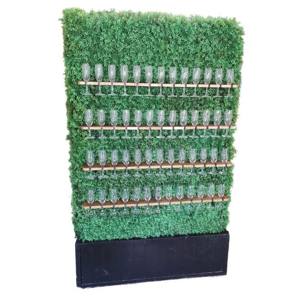 Champagne Hedge Wall