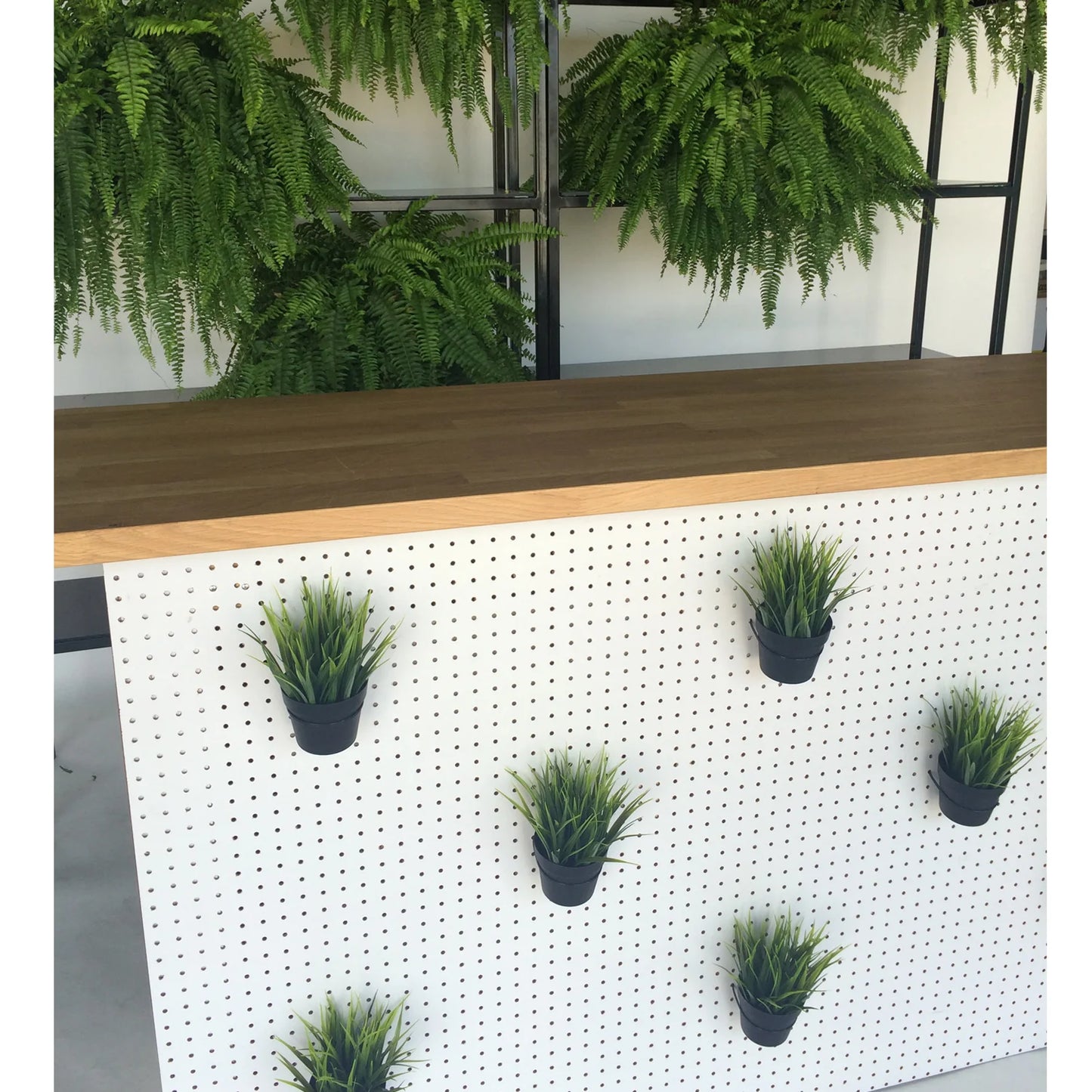 Hang & Display Pegbar