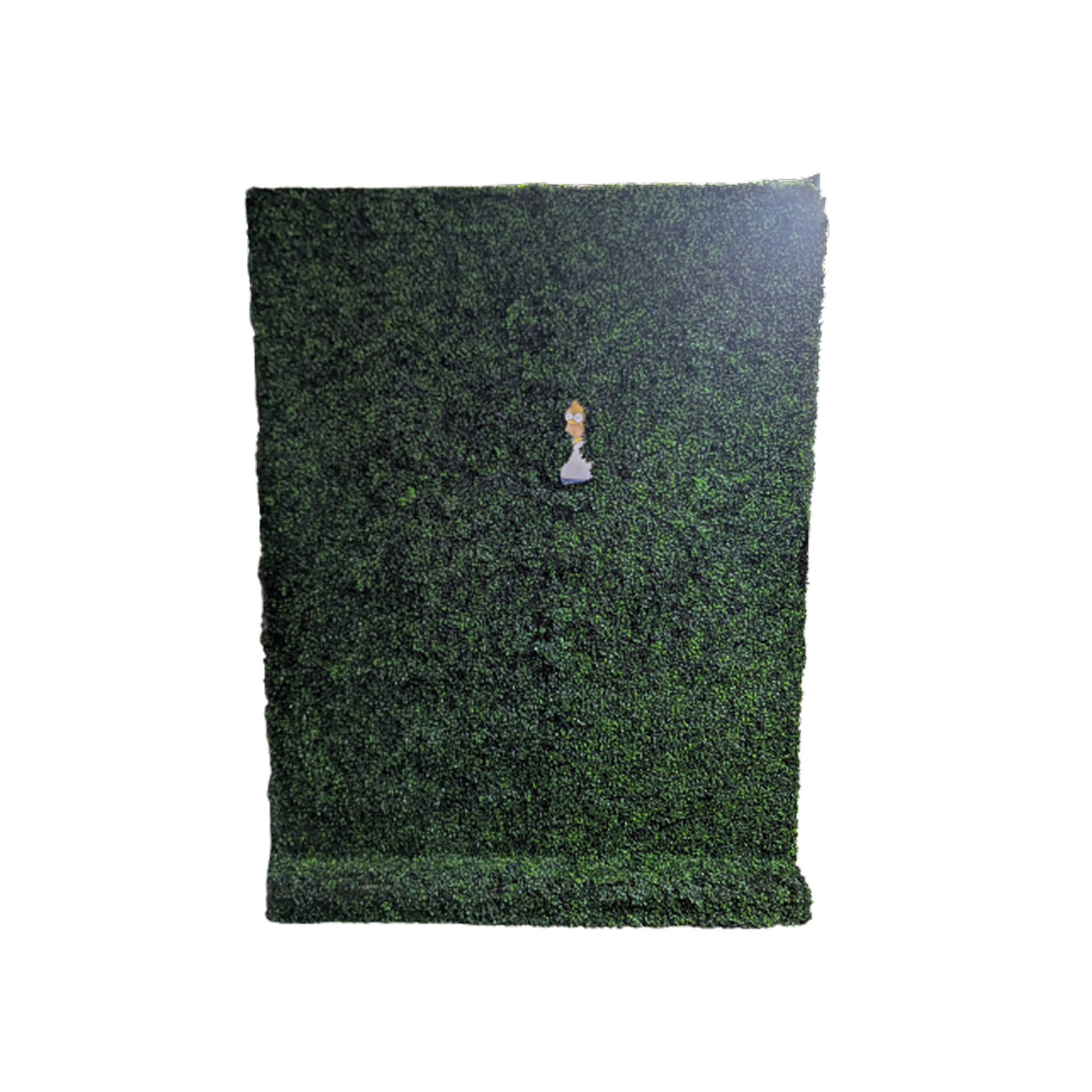Boxwood Hedge Wall