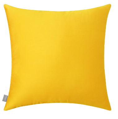 Sunshine Canvas Pillow