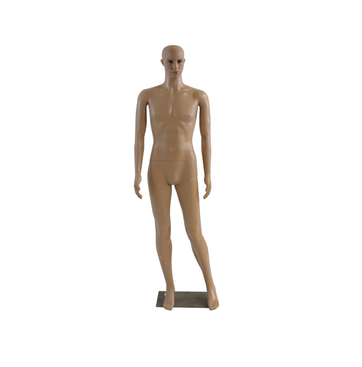 Male Mannequin