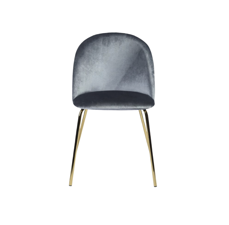 Annemarie Platinum Velvet Chair