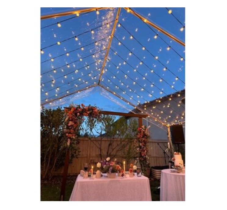 99b. 20'x30' - Clear Tent / Canopy