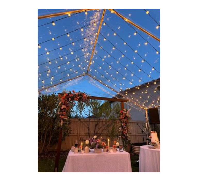99a. 20'x20' - Clear Tent / Canopy