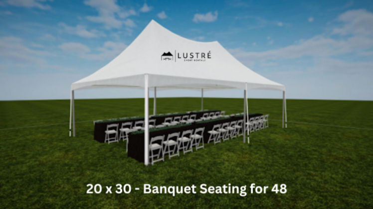 20'x30' High Peak Frame Tent / Canopy