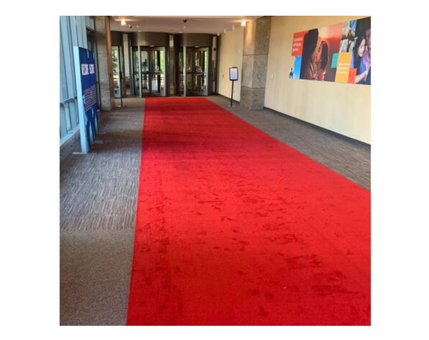 Plush Red Carpet - 25'
