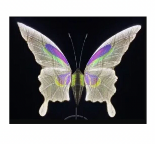 Electric Butterfly - Elegant Props