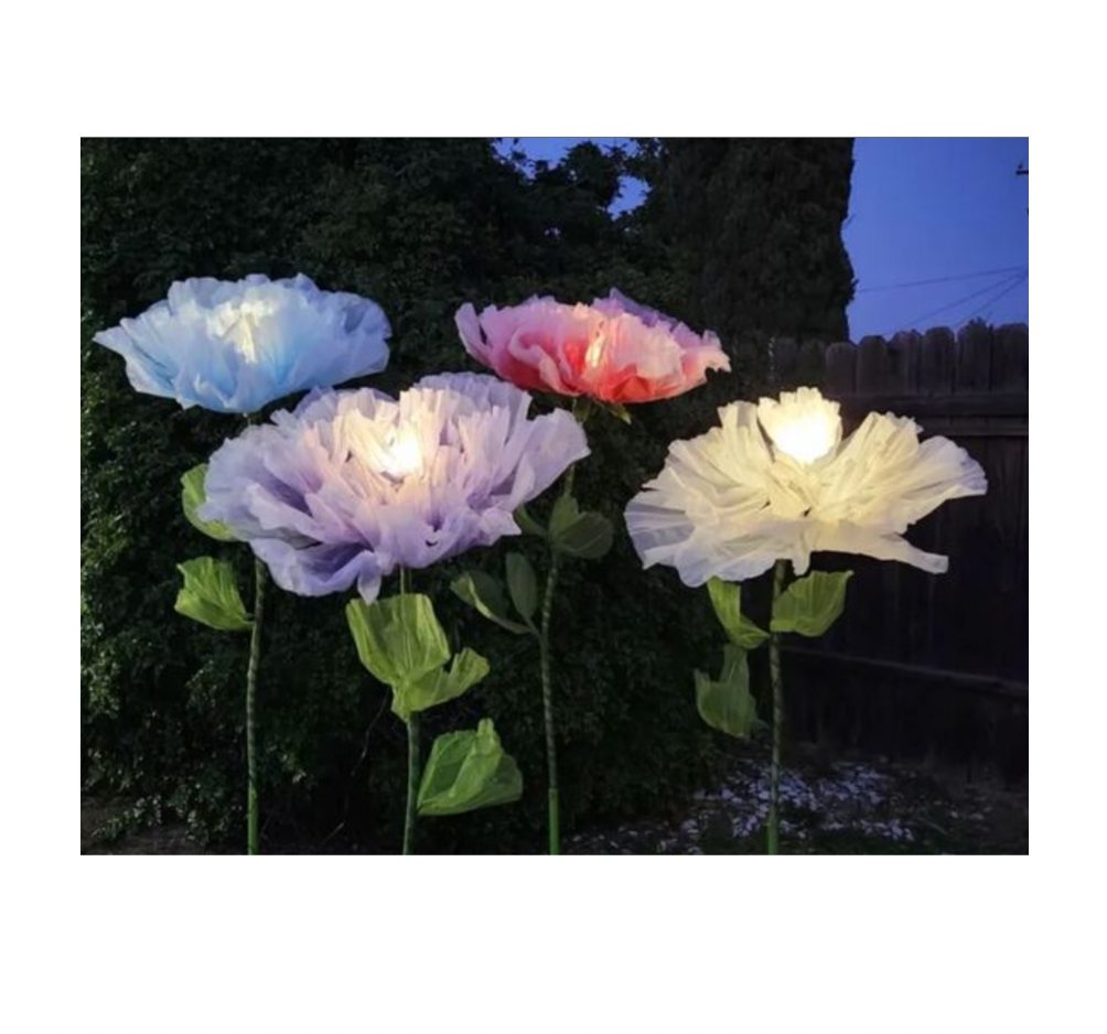 Lumina Bloom - Elegant Props