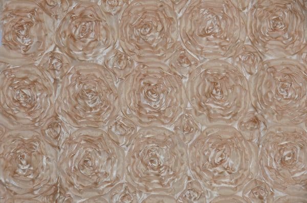 Bella Champagne Linen