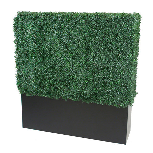 Boxwood Wall Divider