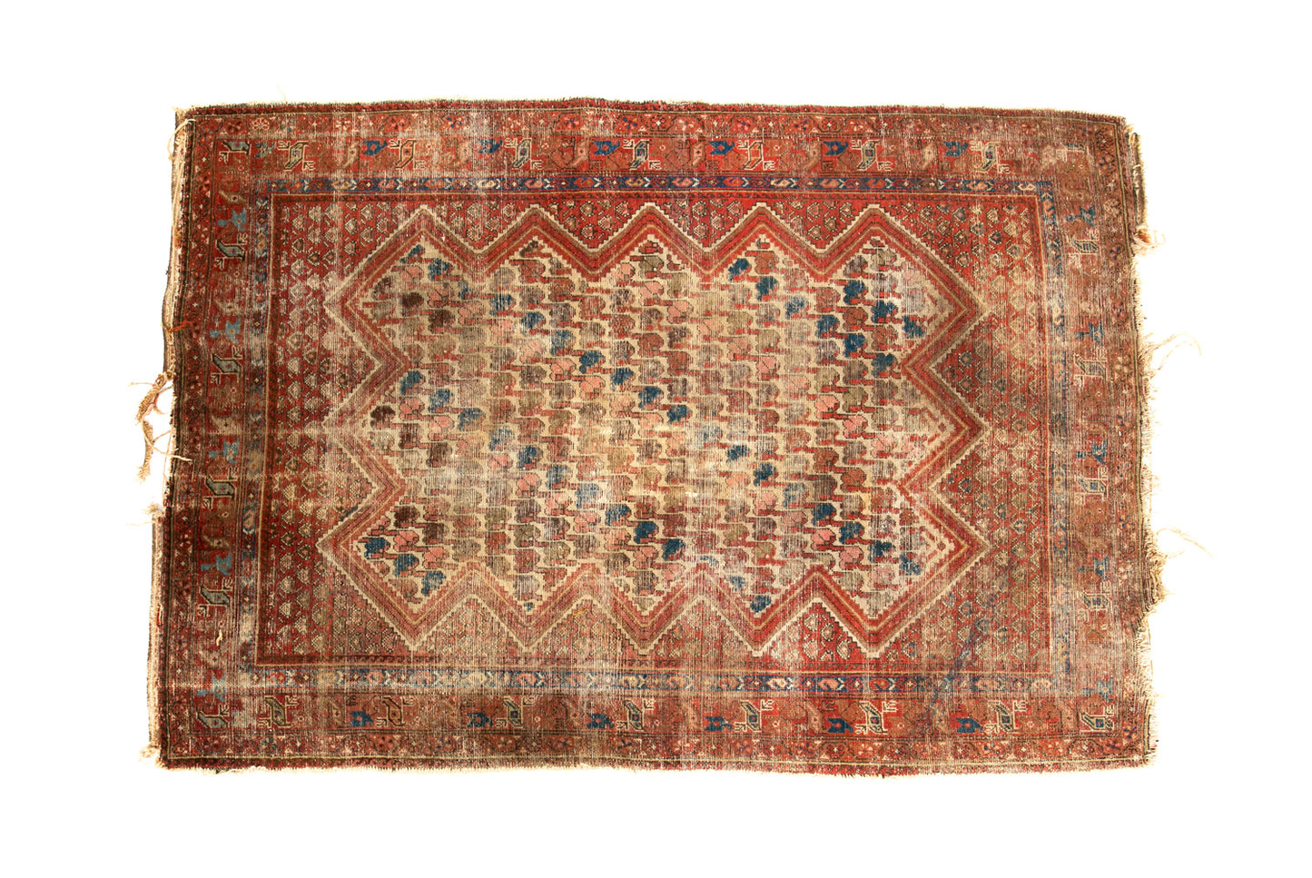 Bluebird Medium Rug