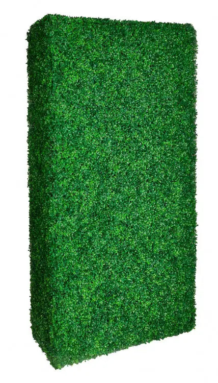 Boxwood Hedge Wall