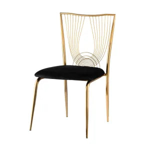 Gold Violin Black Cushion