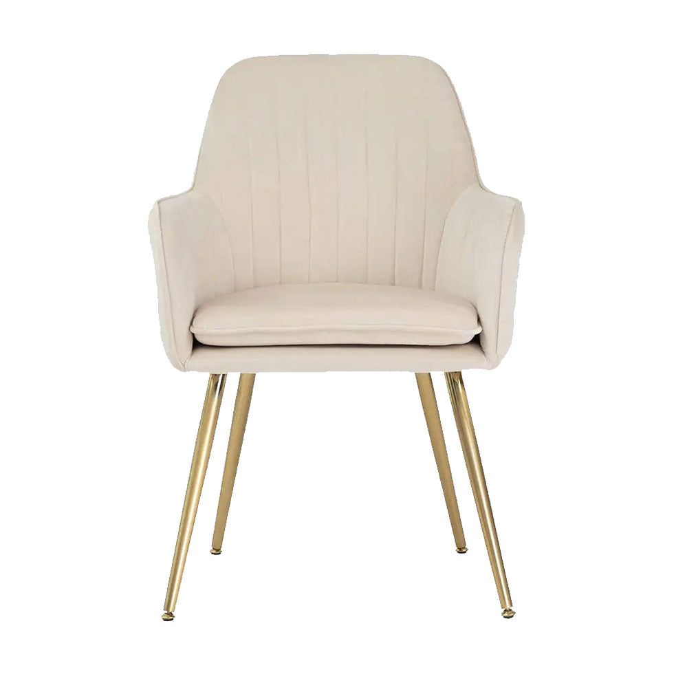 Cream Velvet Chair