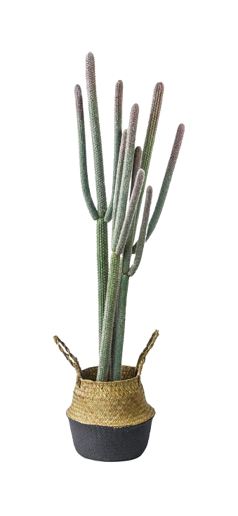 48" Faux Cactus