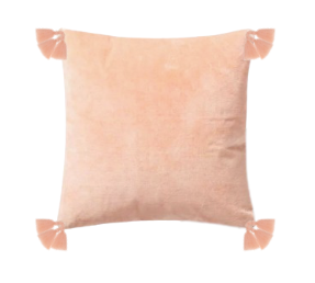 Coral Tassel Velvet Pillow