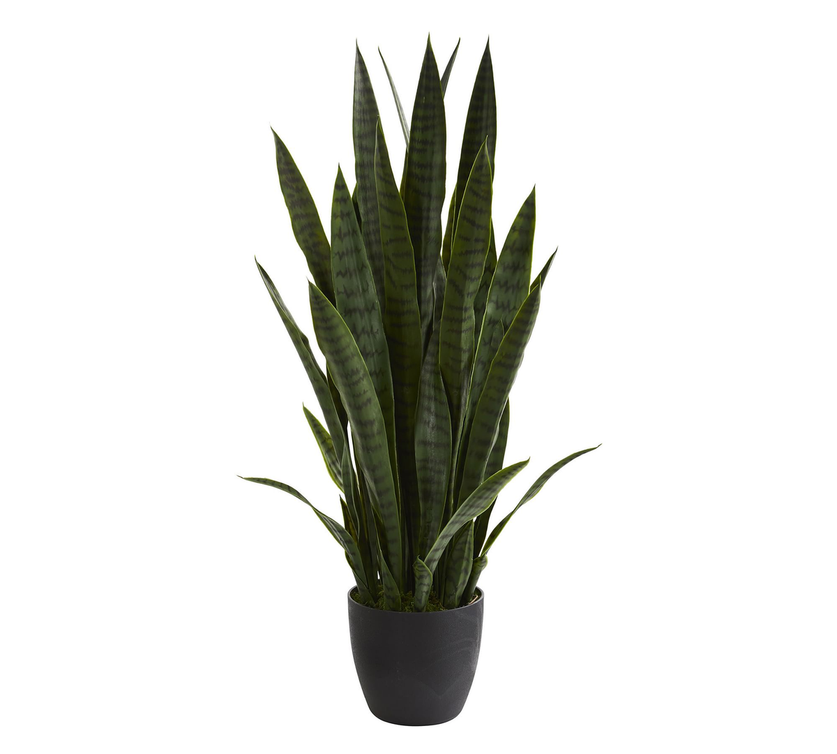 Faux Sansevieria Potted Plant