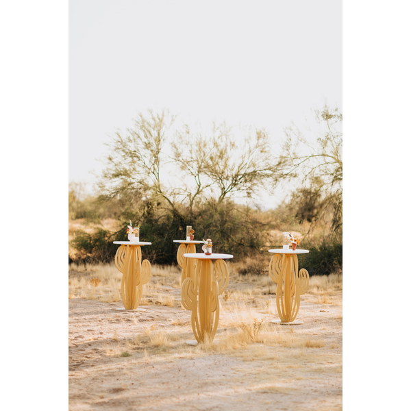 So Saguaro Cocktail Table
