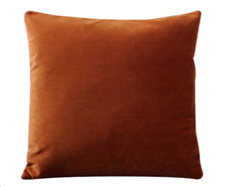 Light Rust Velvet Pillow