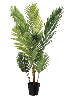 47in Palm Tree