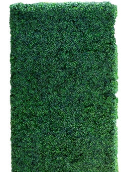 Hedge 4'x8' Wall