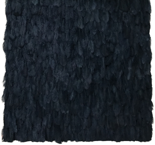 Navy Blue Feather Wall
