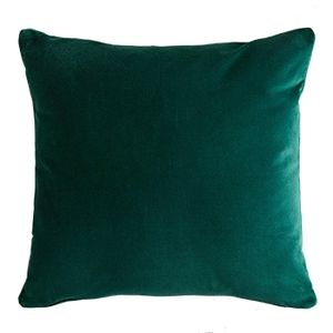 Green Velvet Pillow
