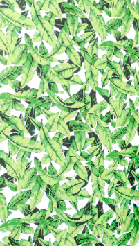Banana Leaf 4'x8' Wall