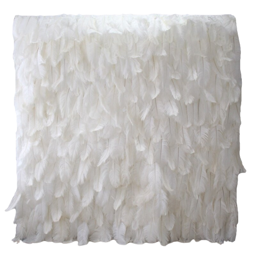 White Feather Wall