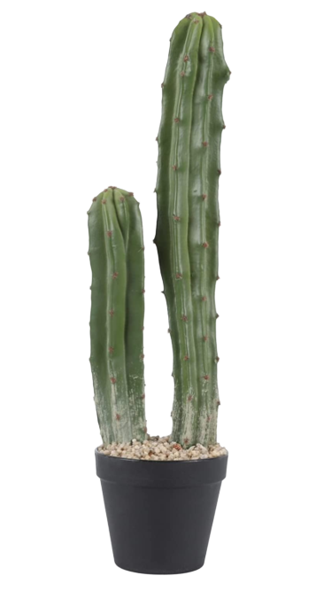 20" Potted Cactus