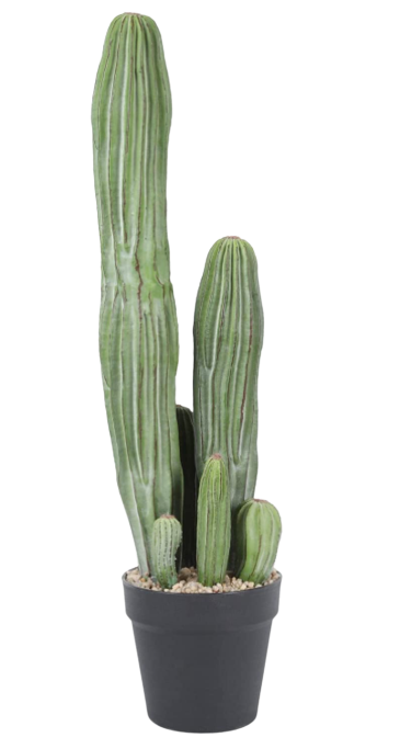 24" Potted Cactus
