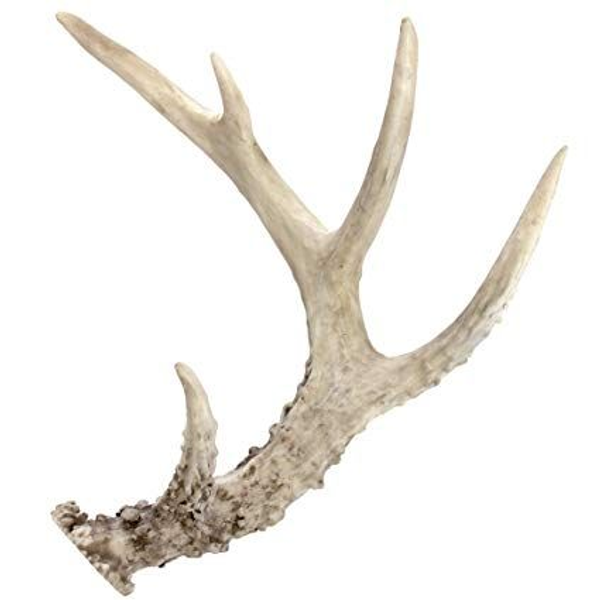 Antler Accent