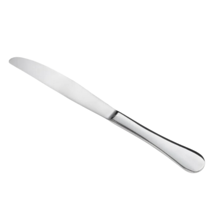 Stainless Steel Dinner Knife
