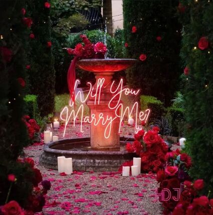 Light Up Neon Signs