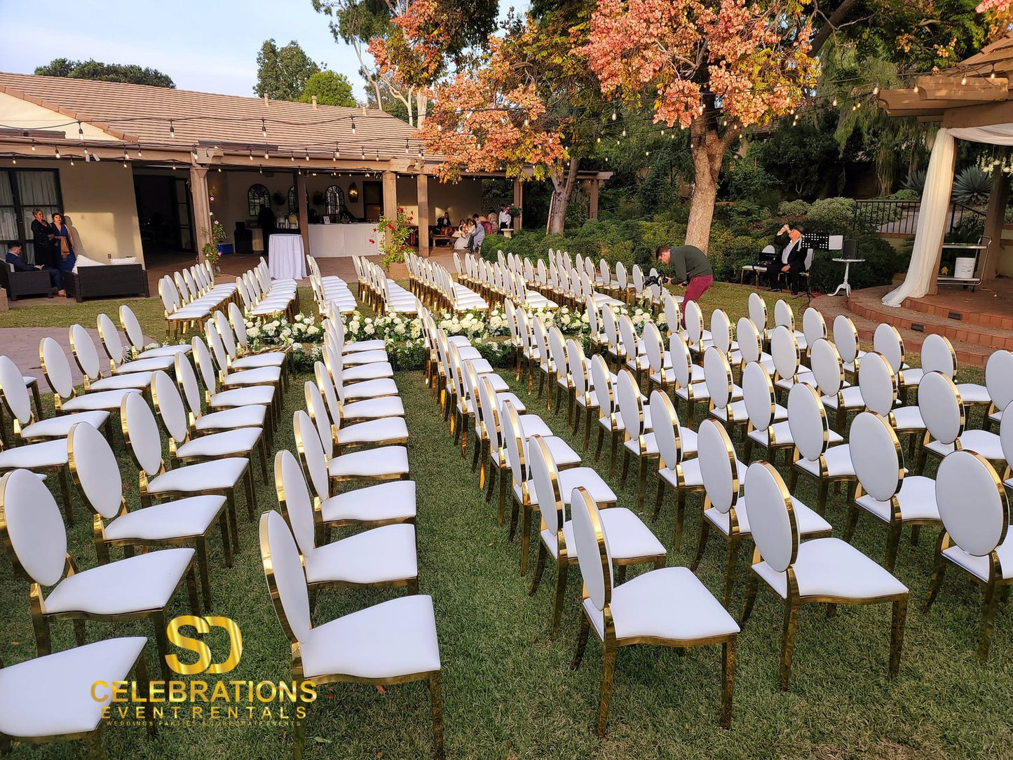 Golden Luxury Chairs