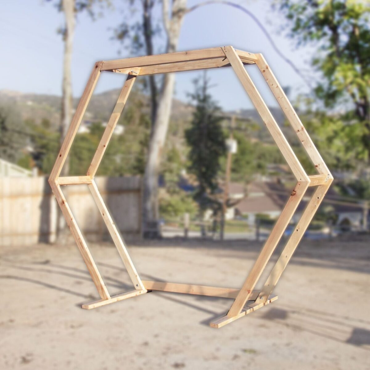 Honey Hexagon Arch