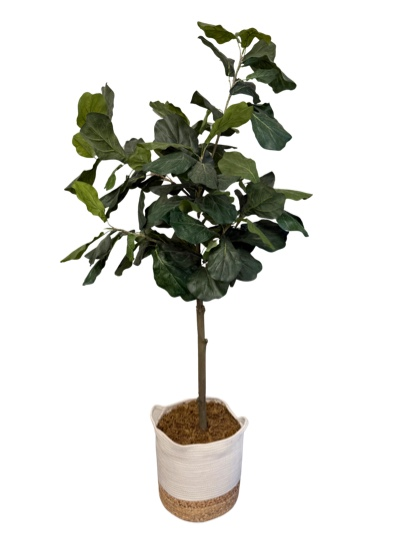 Faux Fig Tree 5'