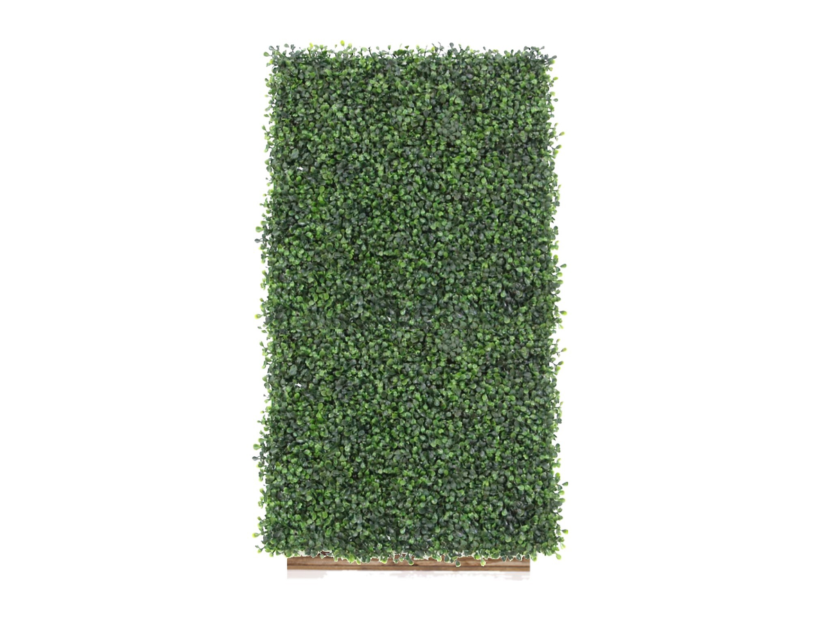 Boxwood Hedge Walls